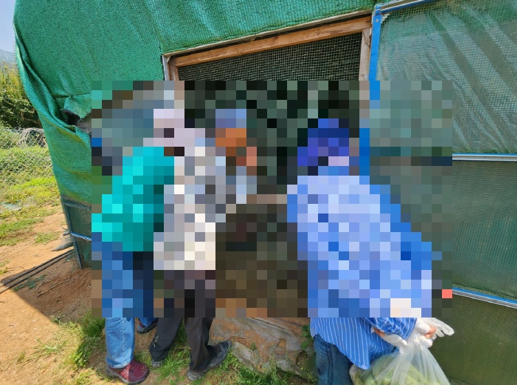 0aeab4d629a064a4d56e5ff7ac0882ff_1721612704_3384.jpg